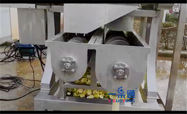 Machine industrielle SUS304 de presse-fruits de dénoyauteur de mangue pour le fruit dénoyautant, peau