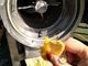 Capacité à canal double de la machine 1T/H 3T/H de réducteur en pulpe du fruit SUS304