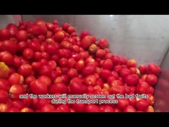 Tomato Paste Production Line / All Canned Tomatoes Paste Supplies In China