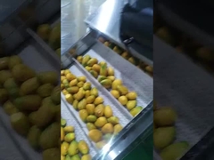 dénoyauteur de graine de machine de réducteur en pulpe de mangue