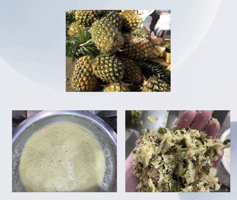 Juicer d' ananas par pressage à vis usine industrielle