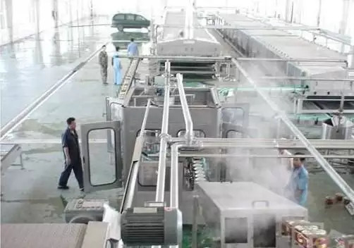 Ligne de transformation du gingembre personnalisée haute performance Machine de production de carottes/gingembre/rameaux pour l'industrie végétale avec PLC