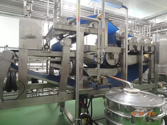 Ligne de transformation de concombres personnalisée complète Celery/Kale/Cucumber Production Plant Equipement clé en main pour l'industrie du légume
