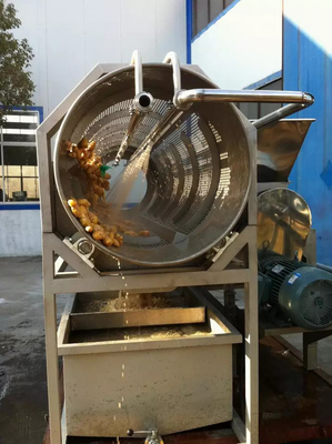 Ligne de transformation du gingembre personnalisée haute performance Machine de production de carottes/gingembre/rameaux pour l'industrie végétale avec PLC