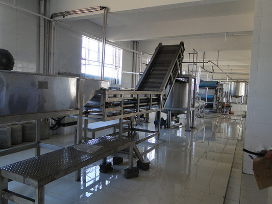 Ligne de transformation complète de chou frisé Usine de production de céleri/chou frisé/ concombre Équipement personnalisé pour l'industrie végétale