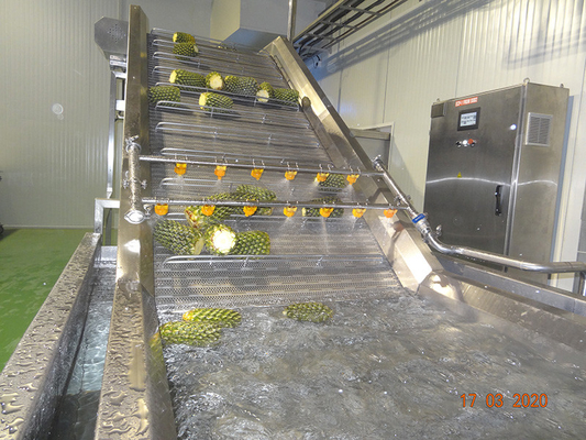 Ligne complète de traitement d'ananas haute performance machine personnalisée d'usine de production d'ananas avec PLC pour l'industrie du fruit