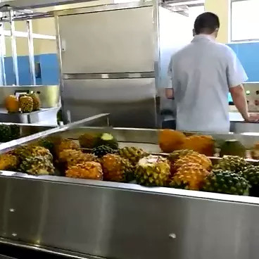 Ligne complète de traitement d'ananas haute performance machine personnalisée d'usine de production d'ananas avec PLC pour l'industrie du fruit