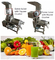 Acier inoxydable de machine d'extracteur de presse-fruits d'ananas de mangue de pastèque de pomme de fruit