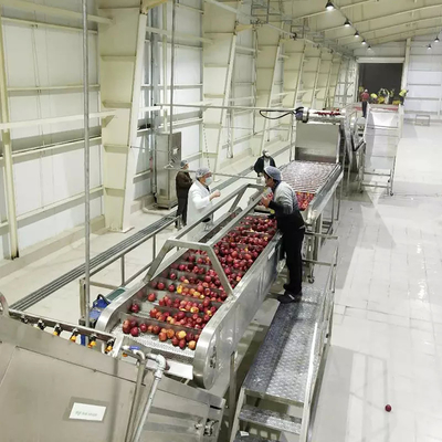 Ligne de traitement complète de poire à haut coût Usine de production de pommes/poires personnalisée Equipement de jus de poire Machine de pâte de poire