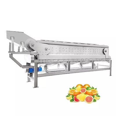 Toutes les machines automatiques personnalisables de jus d'orange nouvelle machine de traitement du jus de fruit complète machine de traitement de la pulpe de mandarin