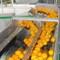 Ligne de production industrielle de jus d'agrumes orange automatique