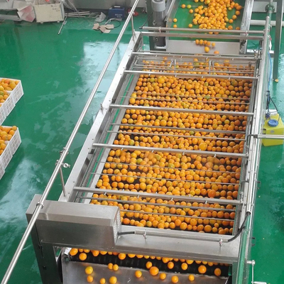 Toutes les machines automatiques personnalisables de jus d'orange nouvelle machine de traitement du jus de fruit complète machine de traitement de la pulpe de mandarin