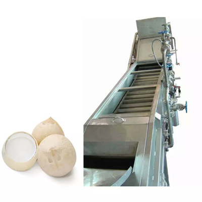 Machine de traitement du lait de coco/eau de coco sur mesure Juices de fruits Press Extracteur Machine de production de noix de coco Ligne de traitement des jus de fruits