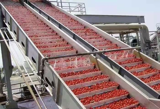 Ligne de traitement de bleuets personnalisée à haute performance Usine de production de bleuets/franges/framboises