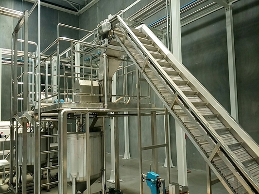 Machine de traitement du jus de mangue personnalisée de haute qualité Usine de production de pâte de mangue