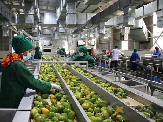Machine de traitement du jus de mangue personnalisée de haute qualité Usine de production de pâte de mangue