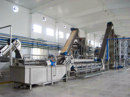 Machine de traitement du jus de mangue personnalisée de haute qualité Usine de production de pâte de mangue
