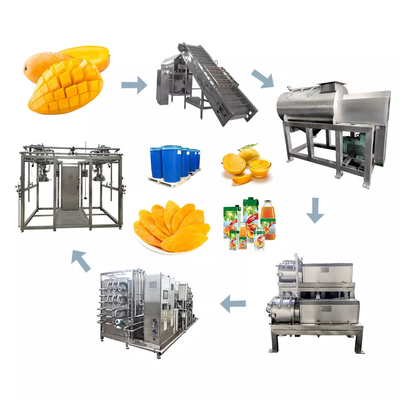 Machine de traitement du jus de mangue personnalisée de haute qualité Usine de production de pâte de mangue