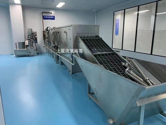 500-30000L/H ligne de traitement d'œufs personnalisée usine de production d'œufs complète machine liquide d'œufs avec PLC
