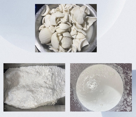 Nouveau extracteur à grande vis pour le lait de noix de coco avec une sortie plus rapide réglable par pression