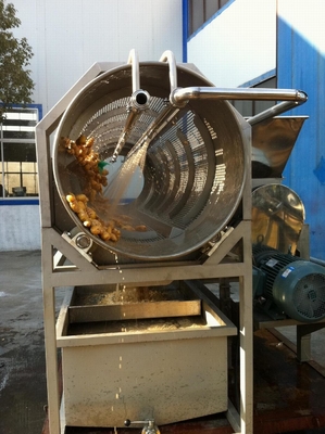 Technologie et machines de traitement de la pâte de baies d'açai / usine de fabrication de pâte de baies d'açai