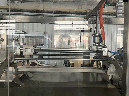 Machine automatique de remplissage de sacs aseptiques à double tête 1-220L SUS304 pour emballage de purée de jus de lait