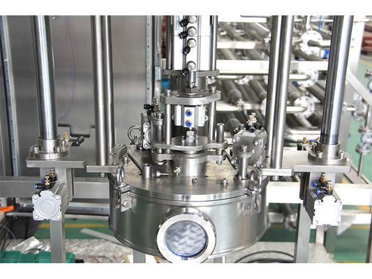 Coût-efficacité Remplisseur aseptique à tête simple ou double 1-220L BID pour l'usine de production de ketchup/jus de fruits/lait Sus304