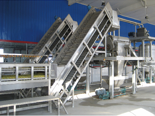 SUS304/316 Ligne de traitement complète de la pitaya personnalisée Équipement de production de la passion fruit / pitaya / guava avec PLC pour l'usine de fruits